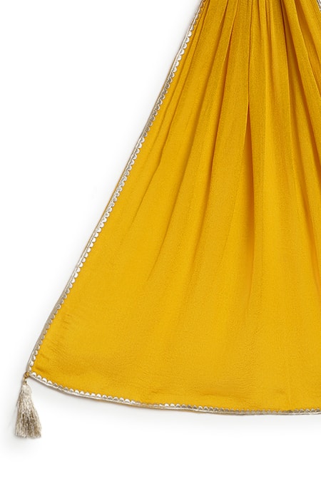 Shop_Tiber Taber_Yellow Viscose, Polyester Embroidery, Tassels, Contrast Bordered Lehenga Set 