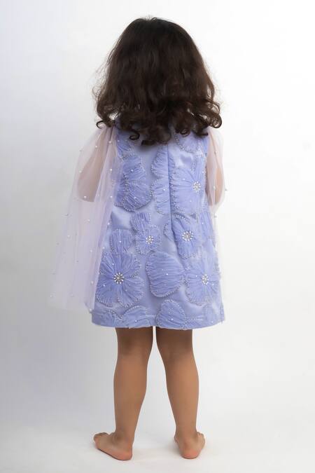 Lil Angels Floral Embroidered Dress