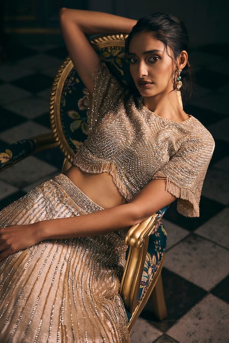 Buy_Studio22 By Pulkita Arora Bajaj_Silver Net, Shantoon Sequins, Embroidery, Astra Shimmer Hand Lehenga Set _Online_at_Aza_Fashions
