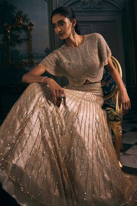 Shop_Studio22 By Pulkita Arora Bajaj_Silver Net, Shantoon Sequins, Embroidery, Astra Shimmer Hand Lehenga Set 