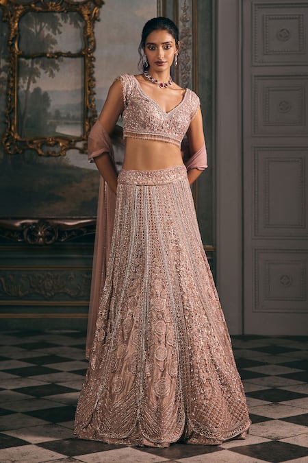 Studio22 By Pulkita Arora Bajaj_Pink Net, Shantoon Embroidery, Divine Scalloped Kalis Tonal Lehenga Set _at_Aza_Fashions