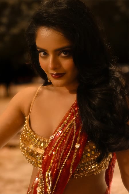 Buy_Dilnaz_Red Net, Polyester Cut Work, Pearls, Sequins, Embellished Saree With Petticoat 