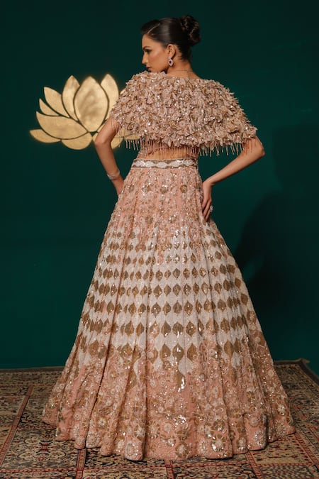 Niloufer By Aasif Ally Hand Work Cape & Lehenga Set 