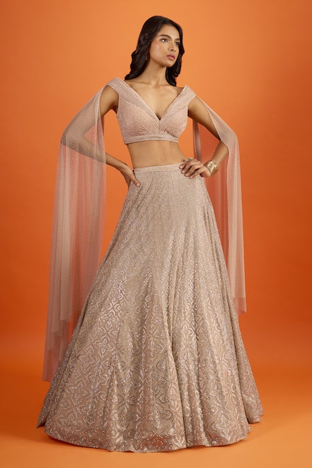 Seema Gujral Embroidered Blouse & Lehenga Set 