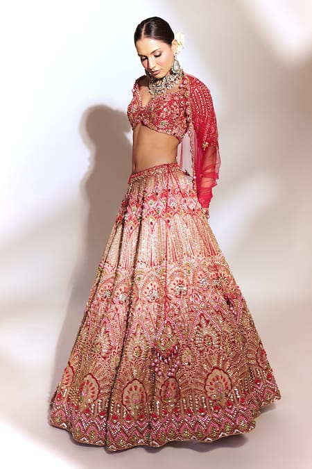 Buy_Anshika Tak Label_Red Tussar, Silk, Net Zari, Sequins, Stones, Embroidery Bridal Lehenga Set _Online_at_Aza_Fashions