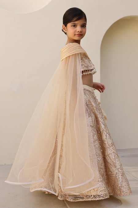 Janyas Closet_Gold Silk Sequins, Beads, Tassels Sparkle Lehenga And Blouse Set _Online_at_Aza_Fashions