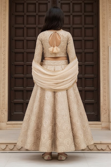 Fayon Kids Embroidered Lehenga Blouse Set 