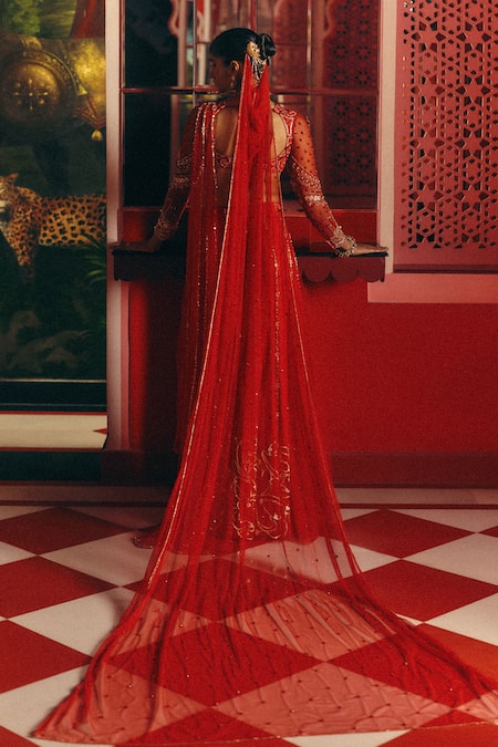 Papa Dont Preach Lunar Veil Hand Embroidered Tulle Pre-Draped Saree Blouse & Veil 