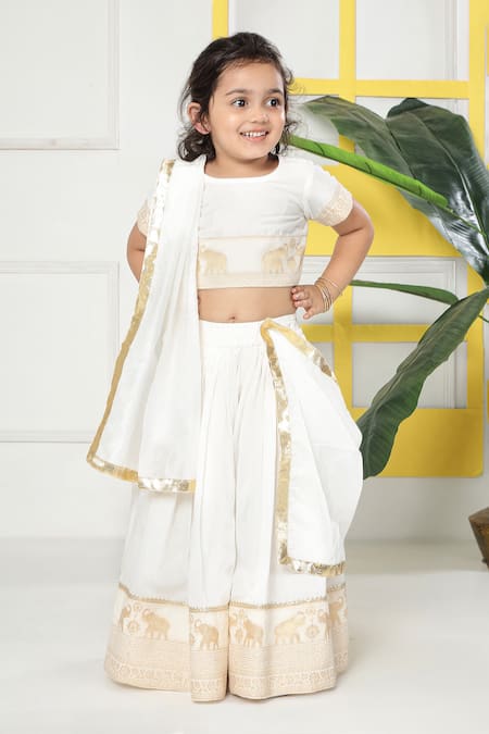 Little Bansi Elephant Embroidered Lehenga Set 