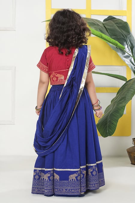 Little Bansi Elephant Motif Embroidered Lehenga Set 