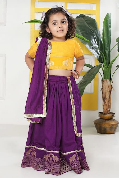 Little Bansi Elephant Embroidered Motif Lehenga Set 