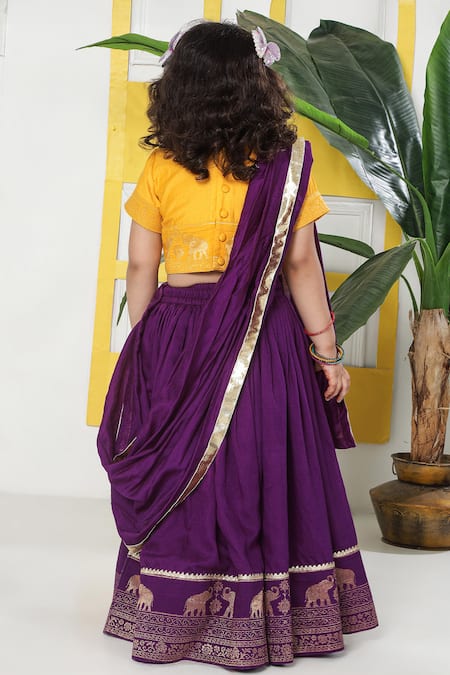 Little Bansi Elephant Embroidered Motif Lehenga Set 