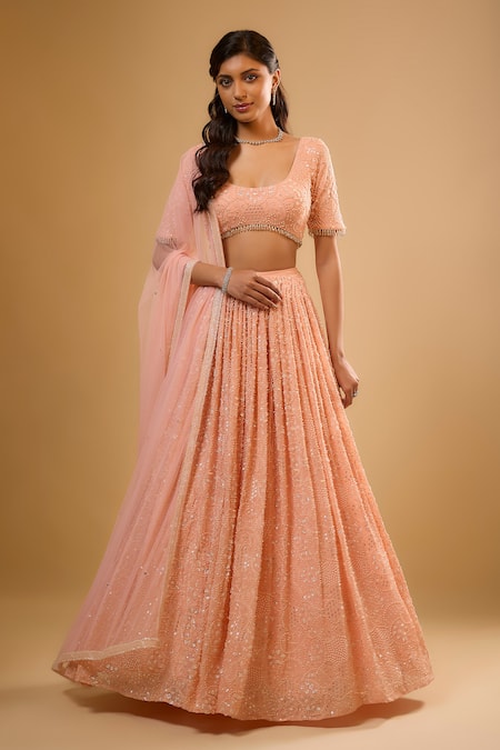 Renee label Nysa Embroidered Lehenga Set 