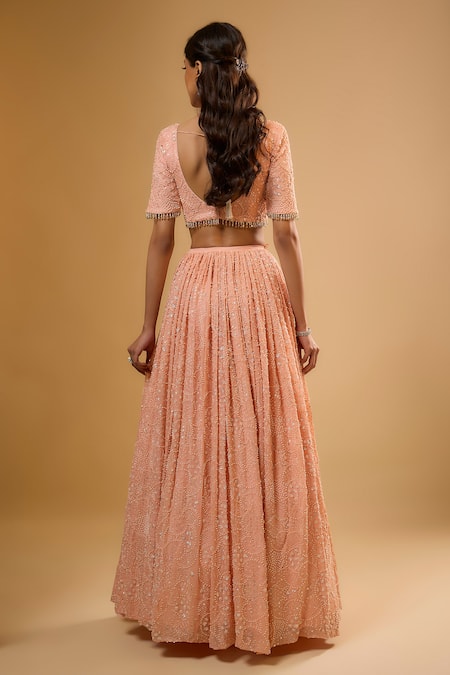 Renee label Nysa Embroidered Lehenga Set 