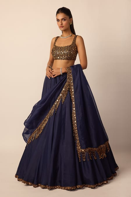Vvani by vani vats_Blue Georgette, Organza Mirrors, Beads, Embroidery, Tassels Blouse Lehenga Set _Online_at_Aza_Fashions