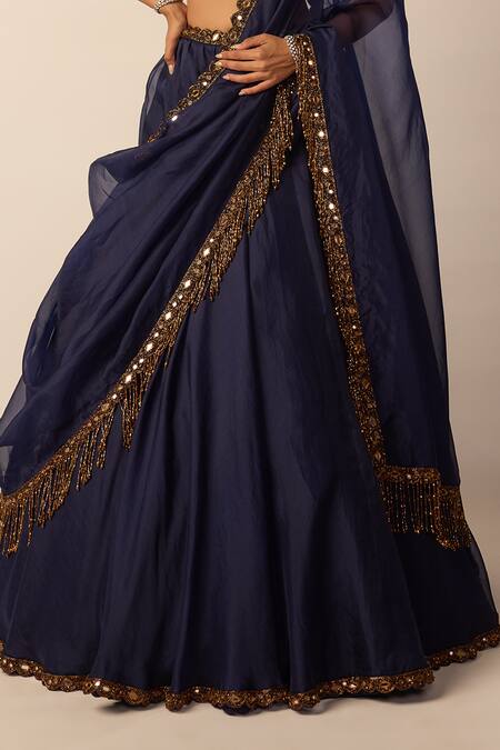Shop_Vvani by vani vats_Blue Georgette, Organza Mirrors, Beads, Embroidery, Tassels Blouse Lehenga Set _Online_at_Aza_Fashions