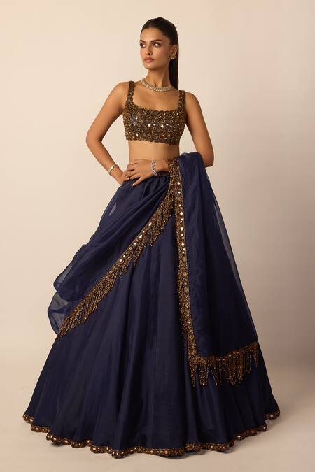 Vvani by vani vats_Blue Georgette, Organza Mirrors, Beads, Embroidery, Tassels Blouse Lehenga Set _at_Aza_Fashions