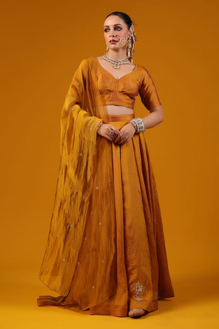 Baaro Masi Cut Dana Embroidered Lehenga Set 