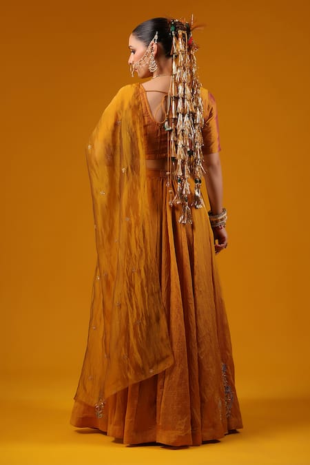 Baaro Masi Cut Dana Embroidered Lehenga Set 