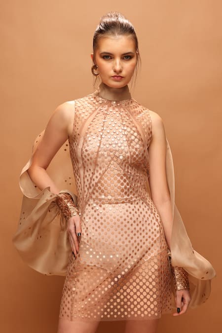 Pankaj & Nidhi Araquis Galaxy Sheer Dress With Sleeves 