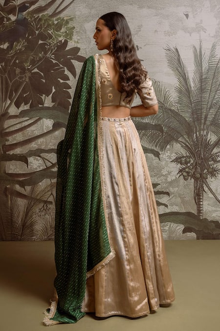 Parshya Stone Hand Embroidered Lehenga Set 