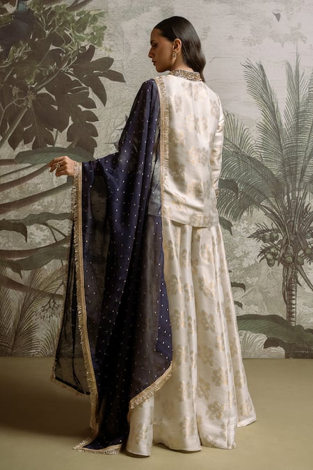 Parshya Banarasi Woven Kurta Sharara Set 