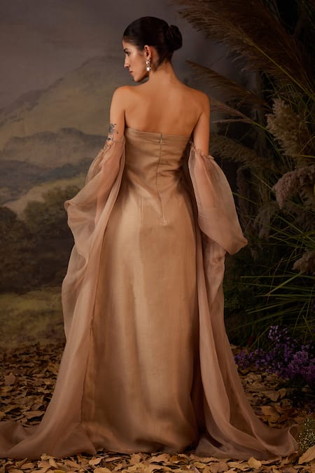 Samant Chauhan Floral Embroidered Cotton Silk Strapless Gown with Sheer Sleeves