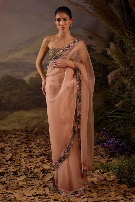 Samant Chauhan Embroidered Organza Silk Saree & Blouse Set