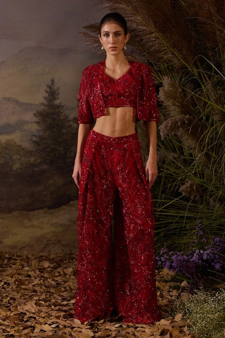 Samant Chauhan Zardozi Embroidered Organza Silk Top Set