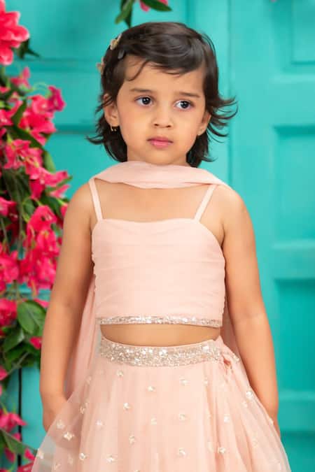 Shruti Jalan Sequin Embroidered Lehenga Set 