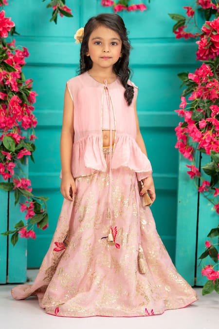 Shruti Jalan Bird Embroidered Chanderi Organza Lehenga Set 