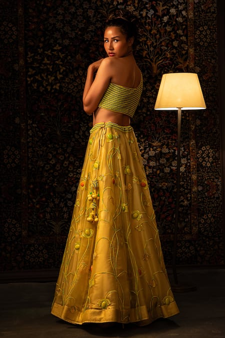 Vandana Sethi Organza Lehenga Set