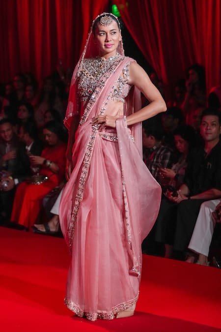 Itrh Padmika Organza Jadaau Organza Saree & Blouse 