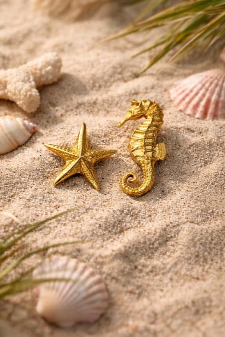 Hetal Shah Sea Star Set of 2 Brooches