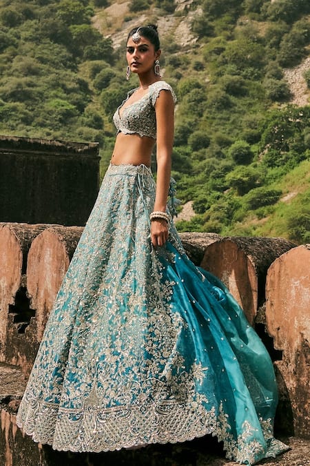 Anushree Reddy Vajra Embroidered Organza Lehenga Set