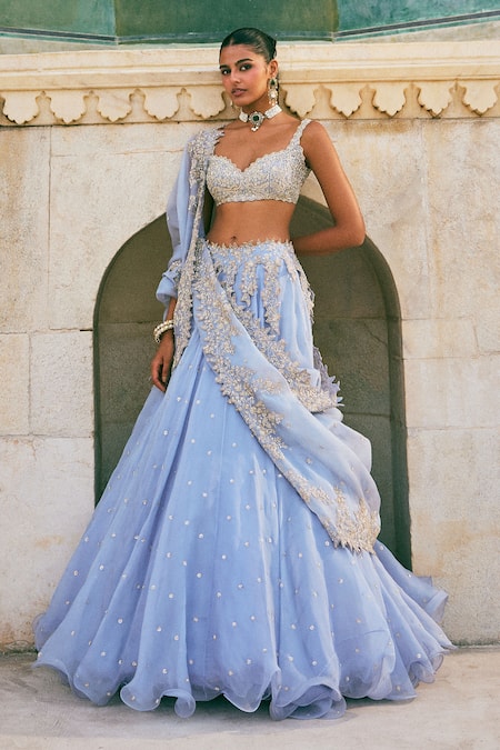 Anushree Reddy Pico Embroidered Organza Skirt Set with Blouse