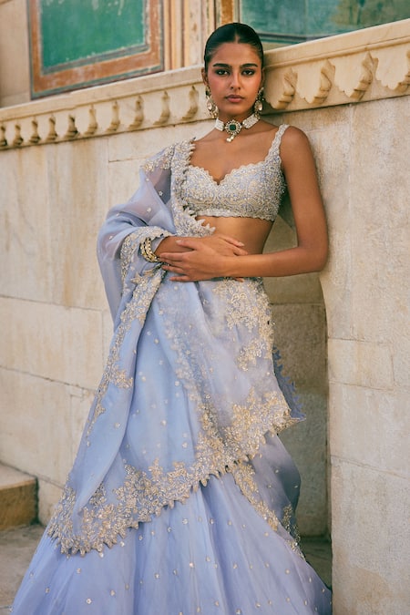 Anushree Reddy Pico Embroidered Organza Skirt Set with Blouse