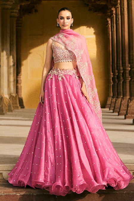Anushree Reddy Sneha Chitta Pico Embroidered Organza Skirt Set