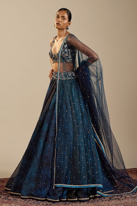 Cedar & Pine_Blue Organza, Tulle Zari, Foil Printing Neville Polka Dot Pattern Lehenga Set _Online_at_Aza_Fashions