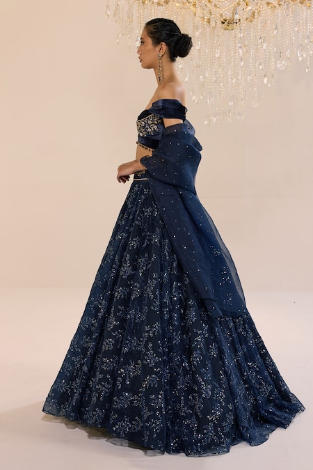 Cedar & Pine_Blue Organza, Velvet Sequins, Stones, Zari Nicole Embroidered Lehenga Set _Online_at_Aza_Fashions