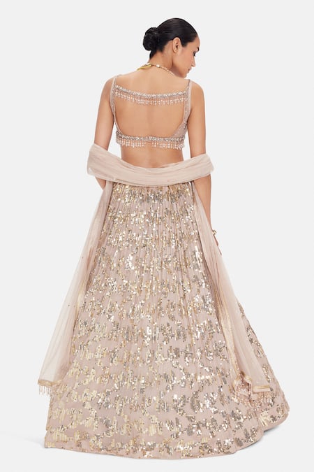 Basanti Kapde aur Koffee The Palatial Elegance Lehenga Set 