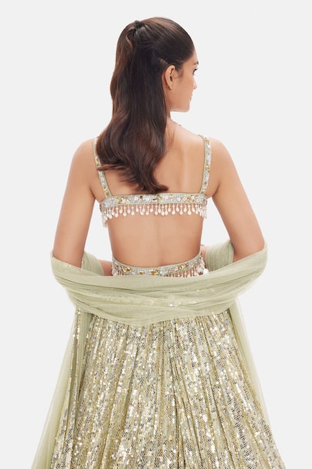 Basanti Kapde aur Koffee Soft Moss Sequins Lehenga Set 