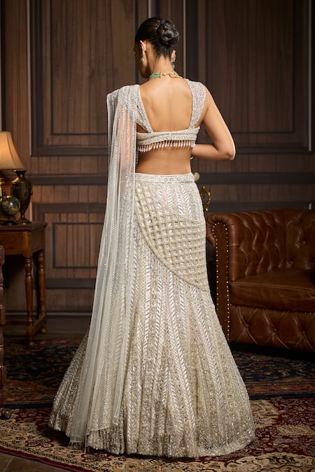 Diyarajvvir Geometric Embellished Mermaid Draped Saree & Blouse Set 