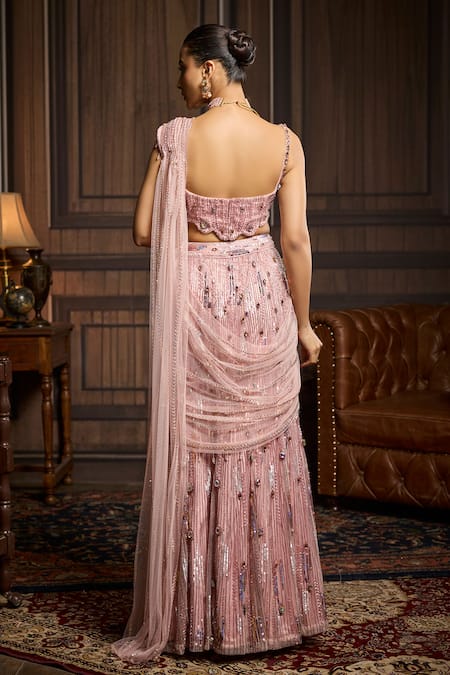 Diyarajvvir Embellished Tulle Blouse & Pre-Draped Saree Set 