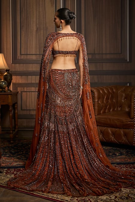 Diyarajvvir Embellished Cape Mermaid Skirt Set 