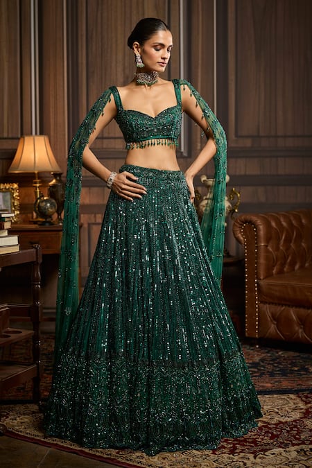 Diyarajvvir Embellished Tulle Lehenga & Blouse Set 