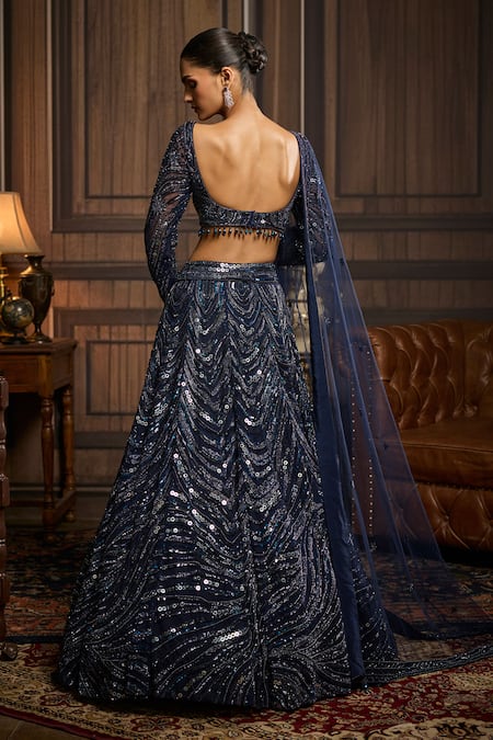 Diyarajvvir Sequin Embellished Tulle Lehenga Set 