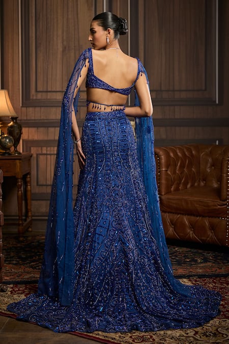 Diyarajvvir Embellished Skirt & Blouse Set 