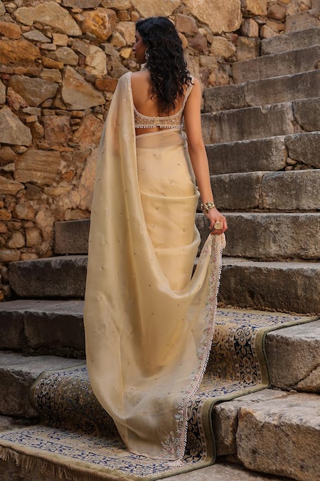 Label Niti Bothra Resham Embroidered Saree With Blouse 