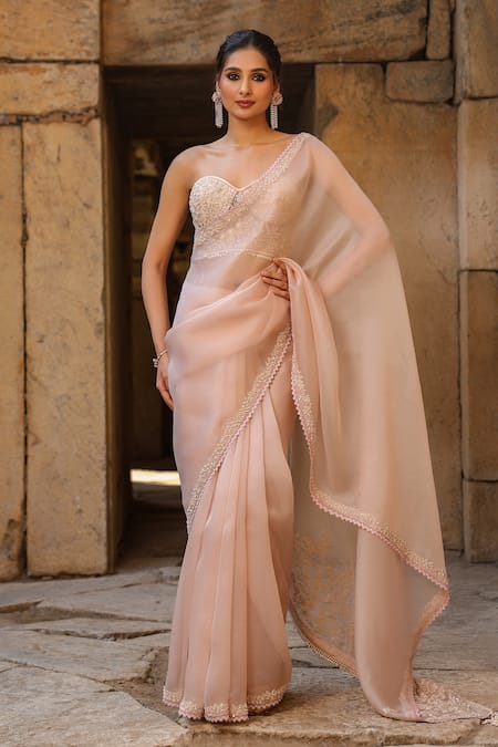 Label Niti Bothra Border Embroidered Organza Saree & Blouse Set 